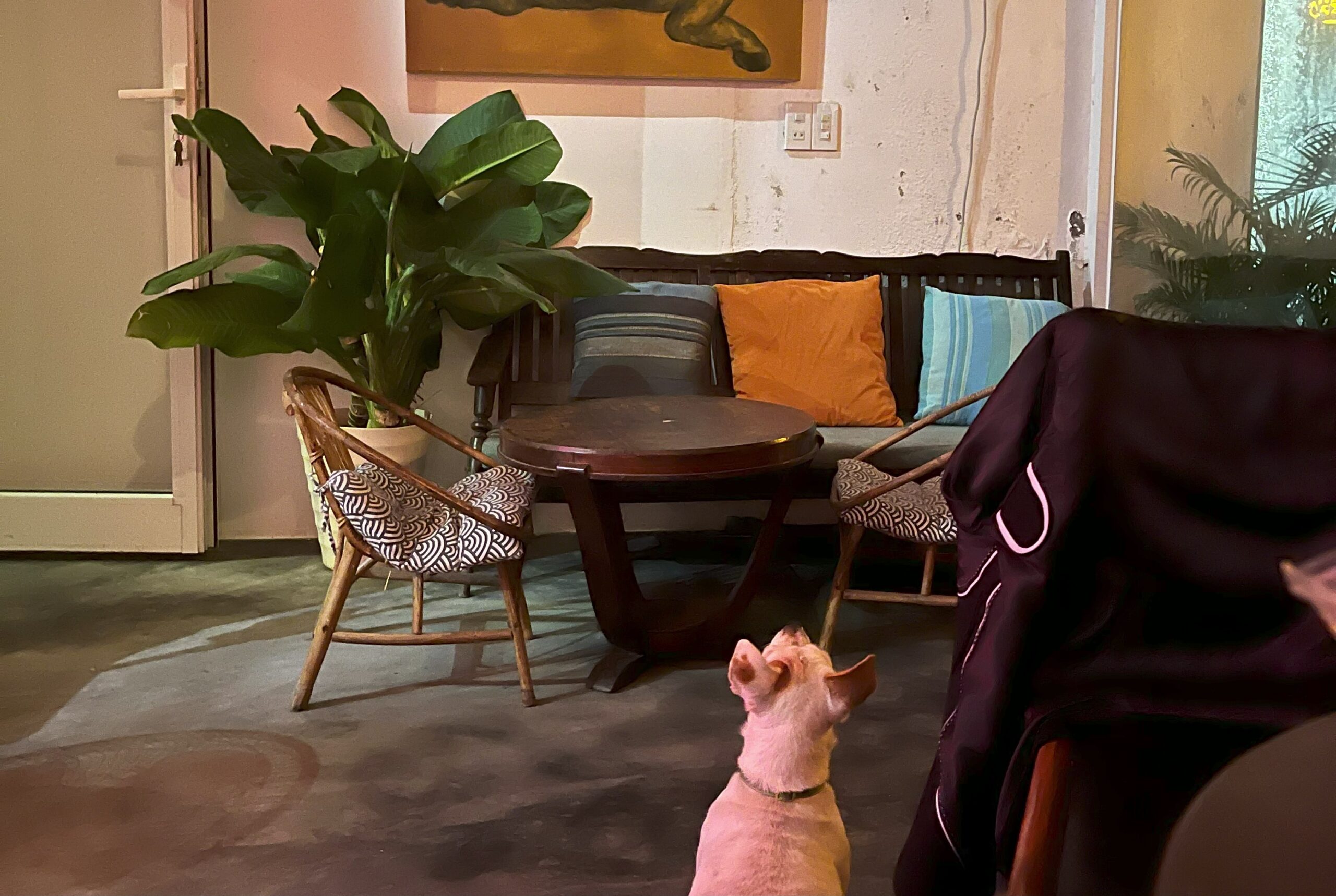 Couchsurfing, Fonte: Mashup