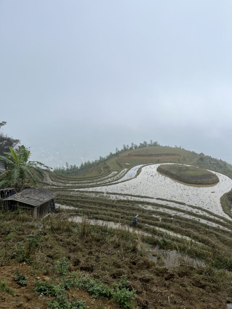 Trekking em Sapa, Fonte: Rafaela Fornitani