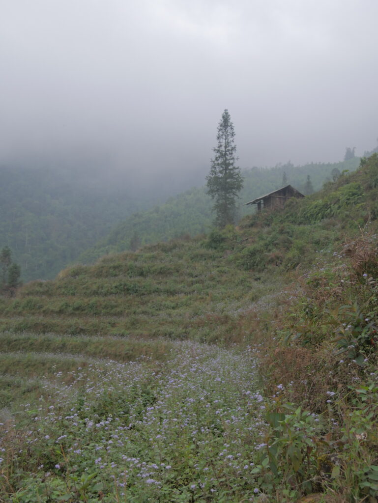 Trekking em Sapa, Fonte: Rafaela Fornitani