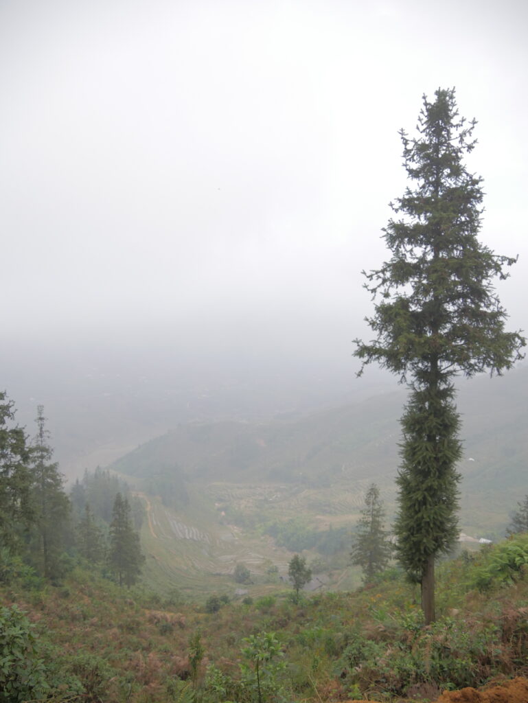 Trekking em Sapa, Fonte: Rafaela Fornitani